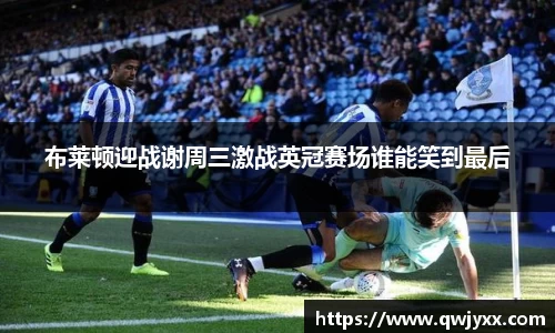 布莱顿迎战谢周三激战英冠赛场谁能笑到最后